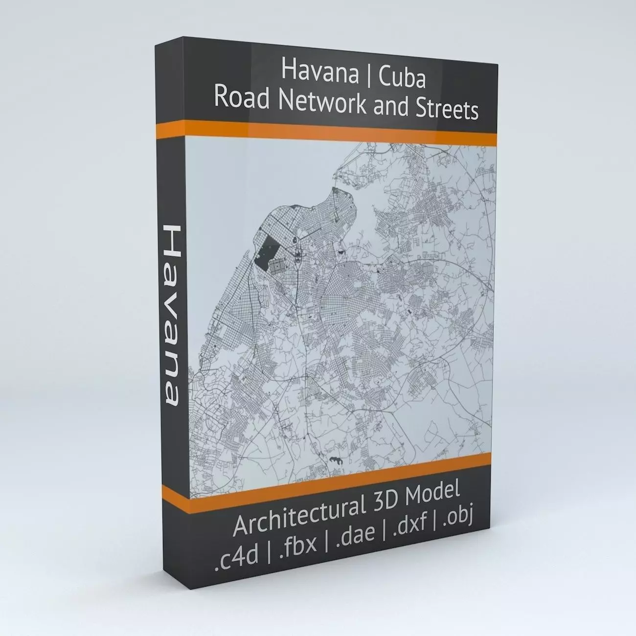 Havana Road Network and Streets 3D model_0