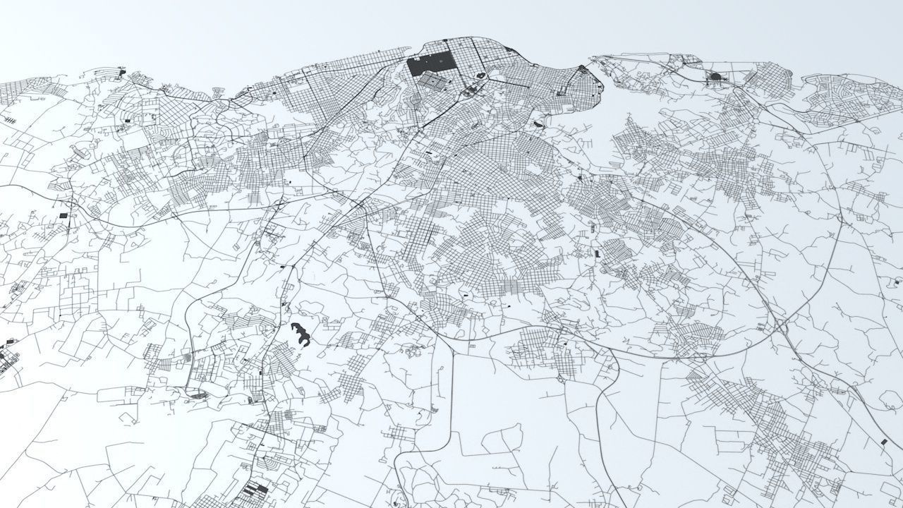 Havana Road Network and Streets 3D model_1
