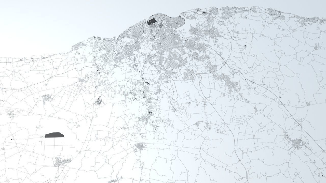 Havana Road Network and Streets 3D model_2