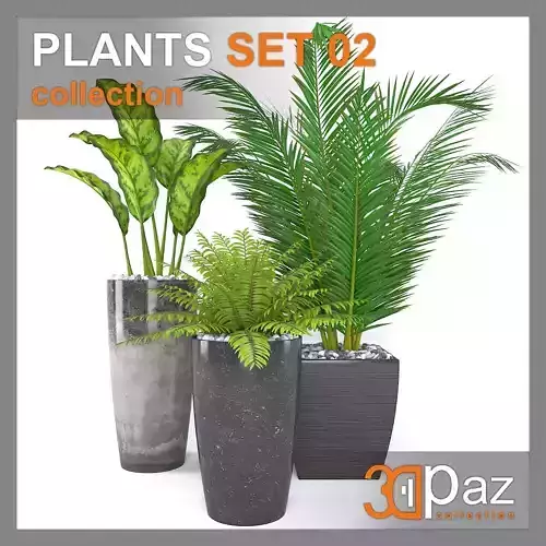 PLANTS SET 02