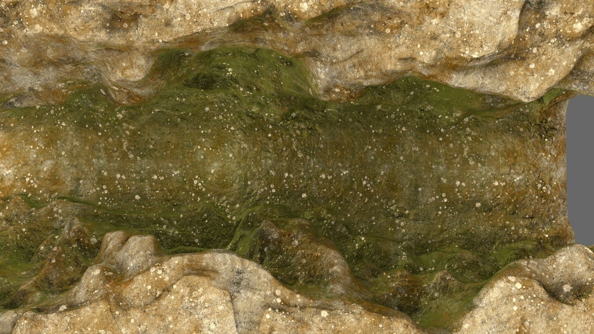 mossy canyon 1 Low-poly 3D model_14