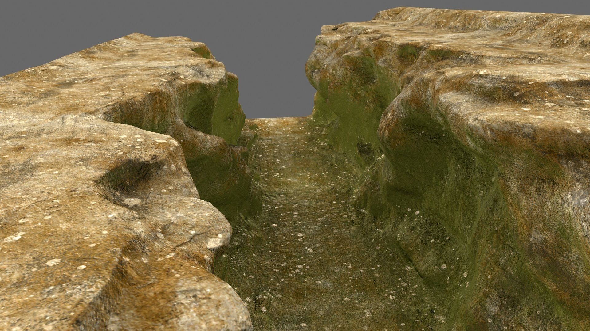 mossy canyon 1 Low-poly 3D model_19