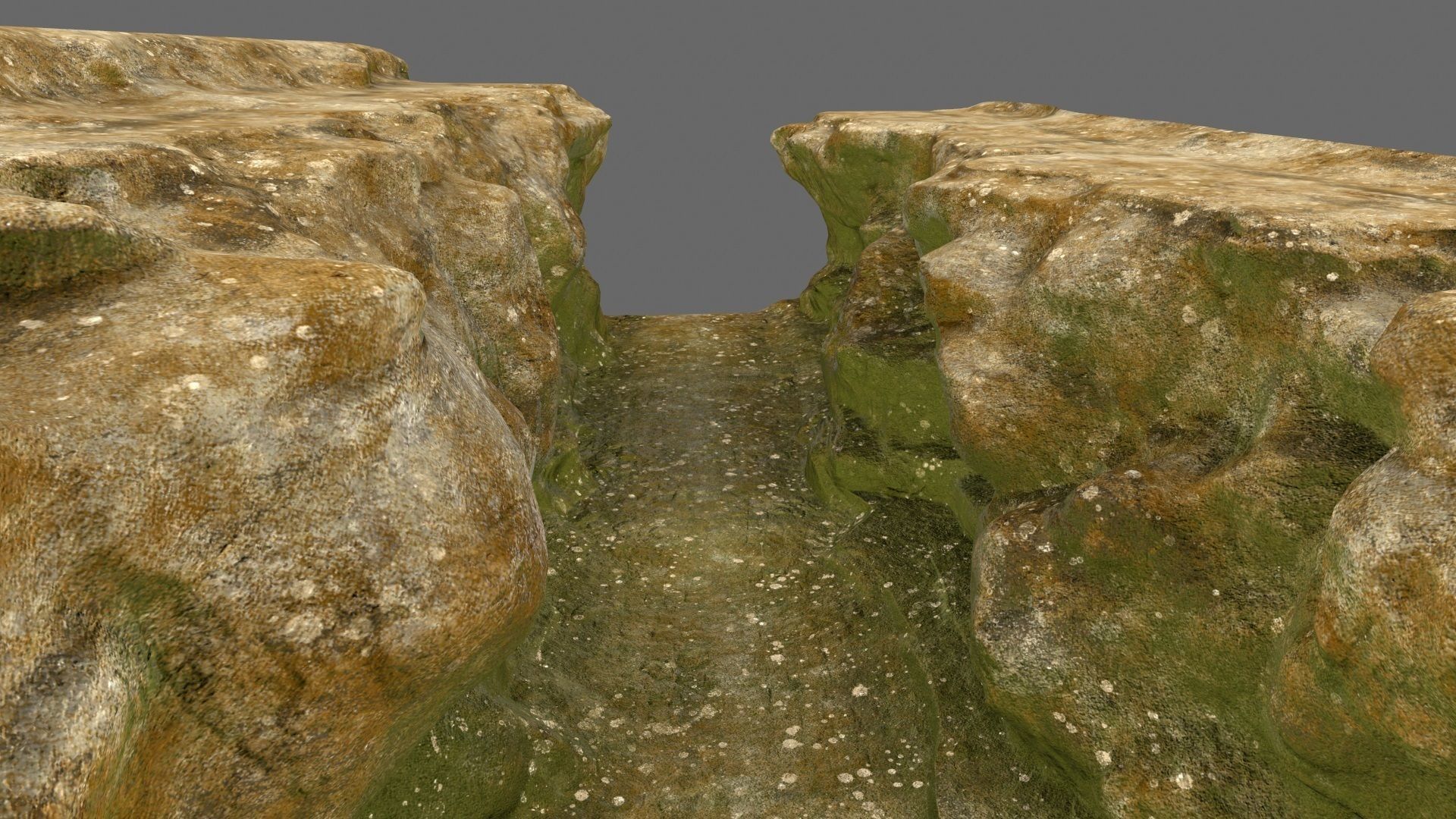 mossy canyon 1 Low-poly 3D model_17