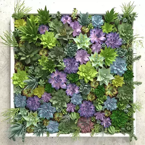 Succulents wall 3D model