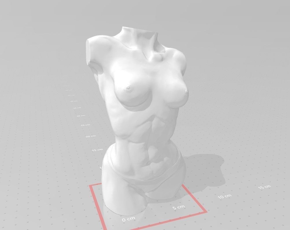 female body 3D print model_5