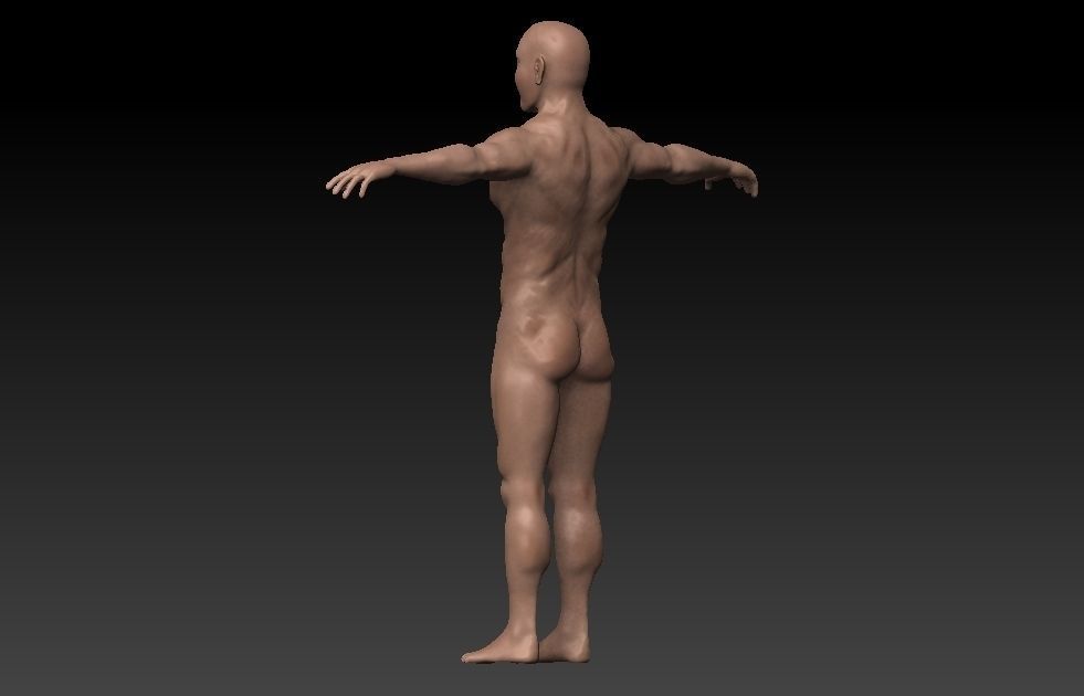 Male base mesh Low-poly 3D model_5
