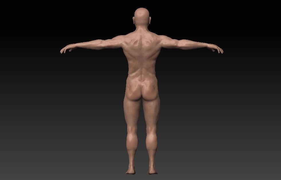 Male base mesh Low-poly 3D model_6