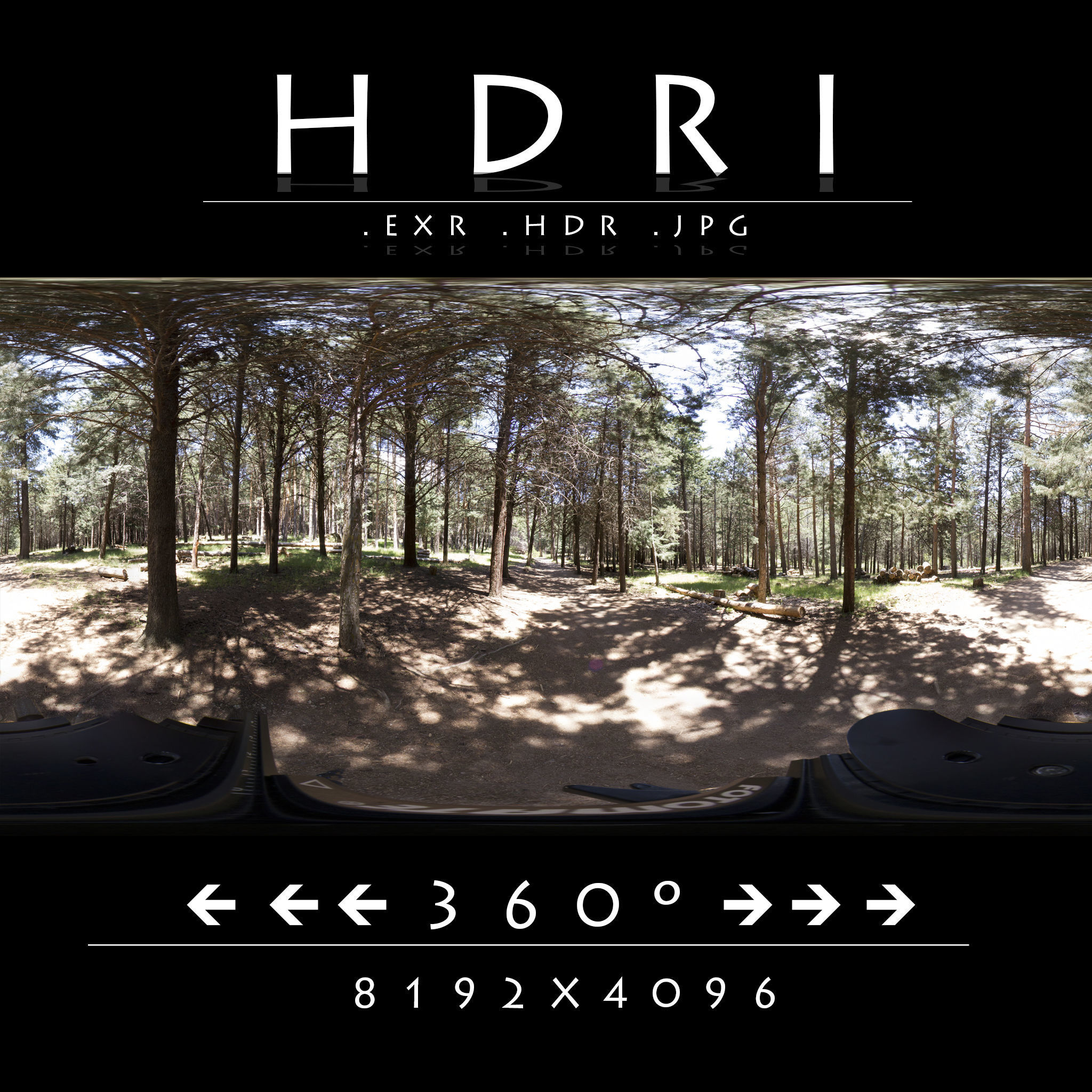 The Forest Collection Pack Low-poly 3D model_3