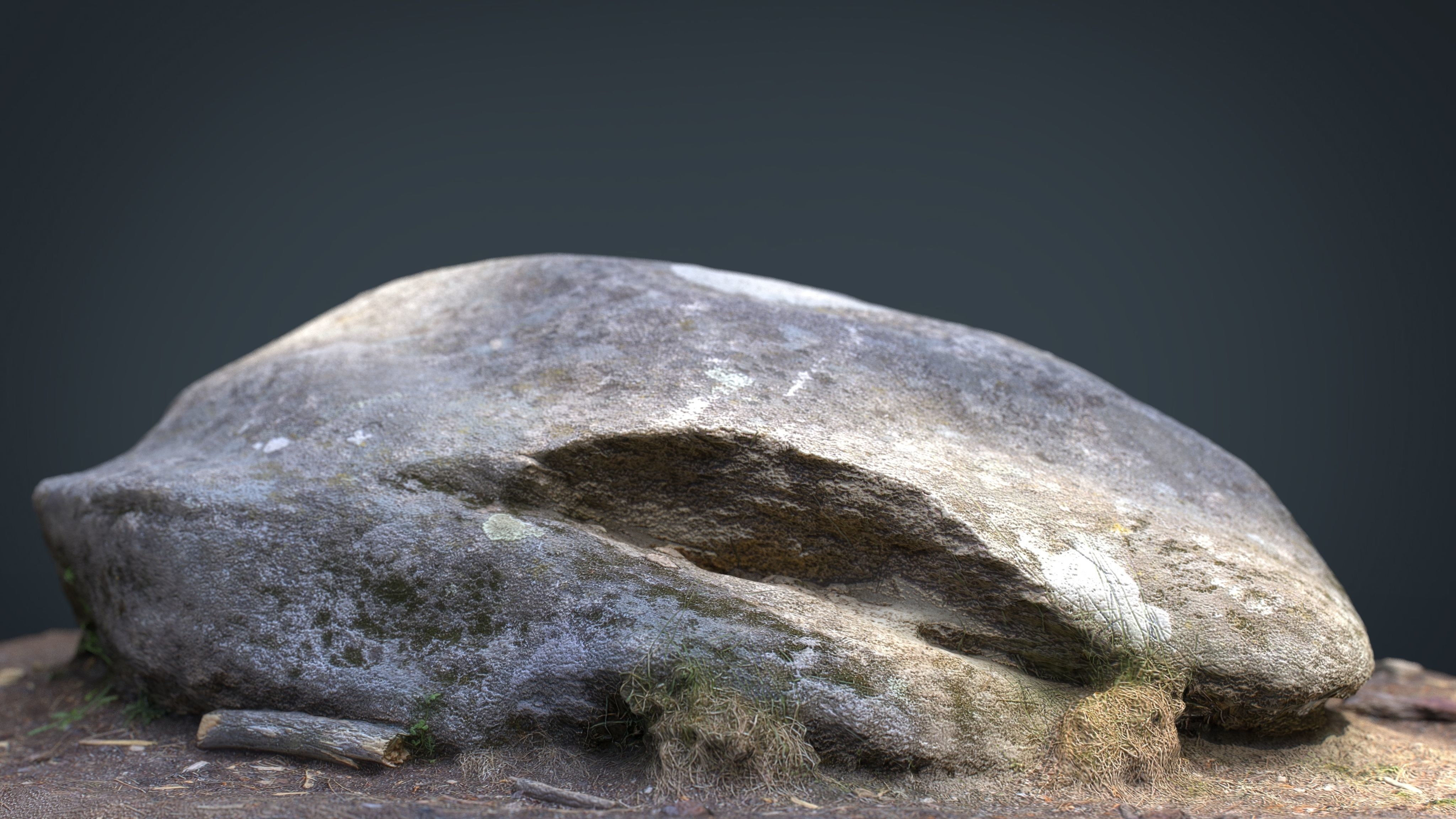 The Forest Collection Pack Low-poly 3D model_9