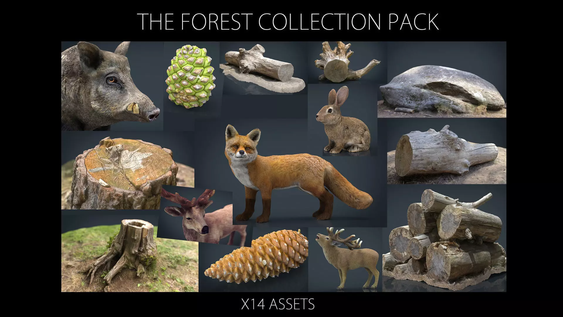 The Forest Collection Pack Low-poly 3D model_0