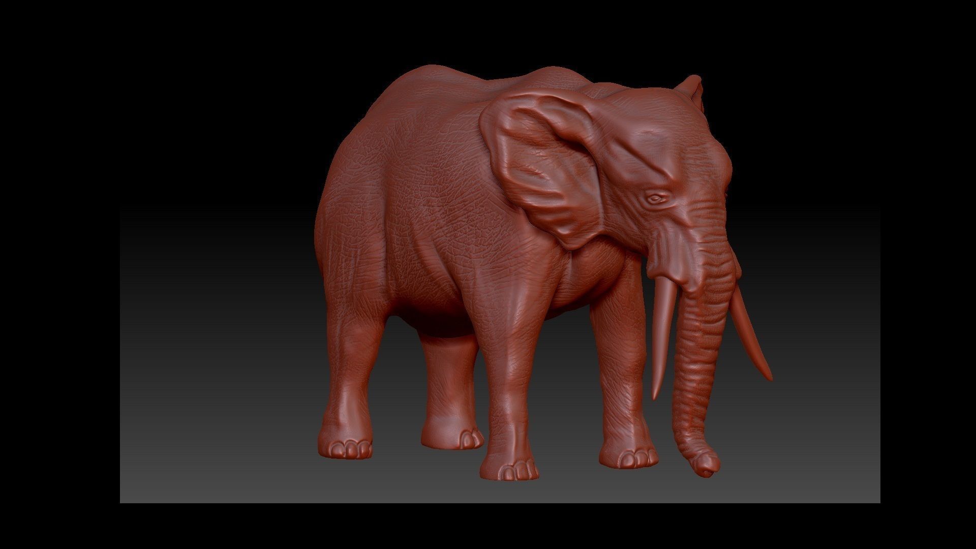 Elephant 3D Model for print 3D print model_4