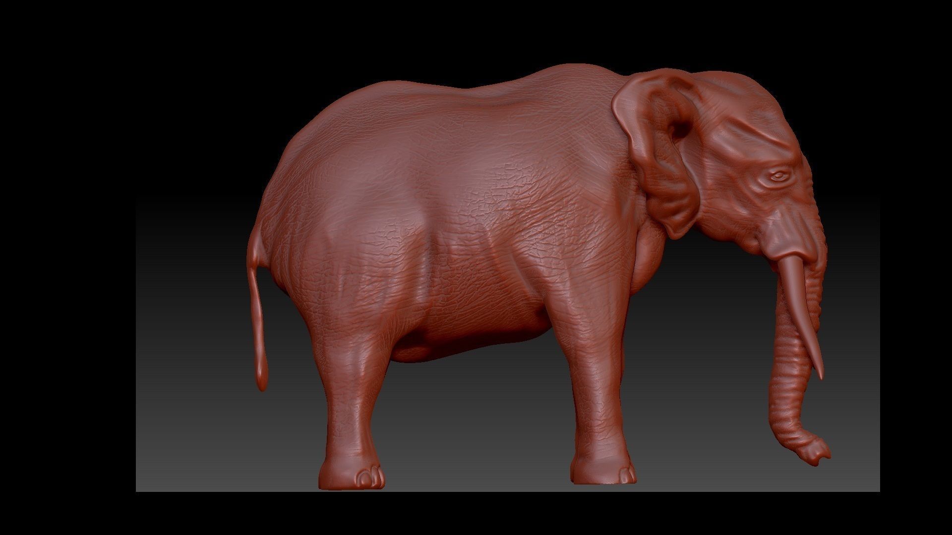 Elephant 3D Model for print 3D print model_2