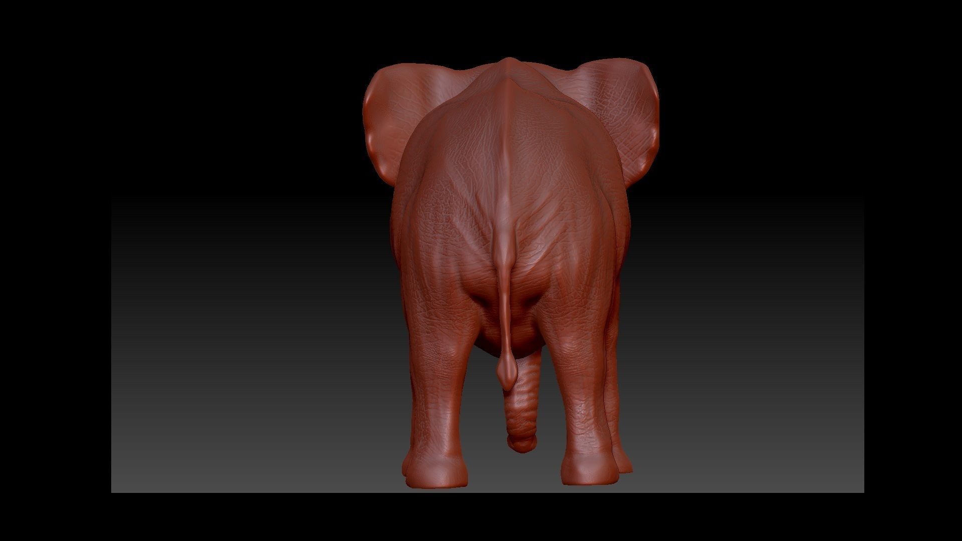 Elephant 3D Model for print 3D print model_3
