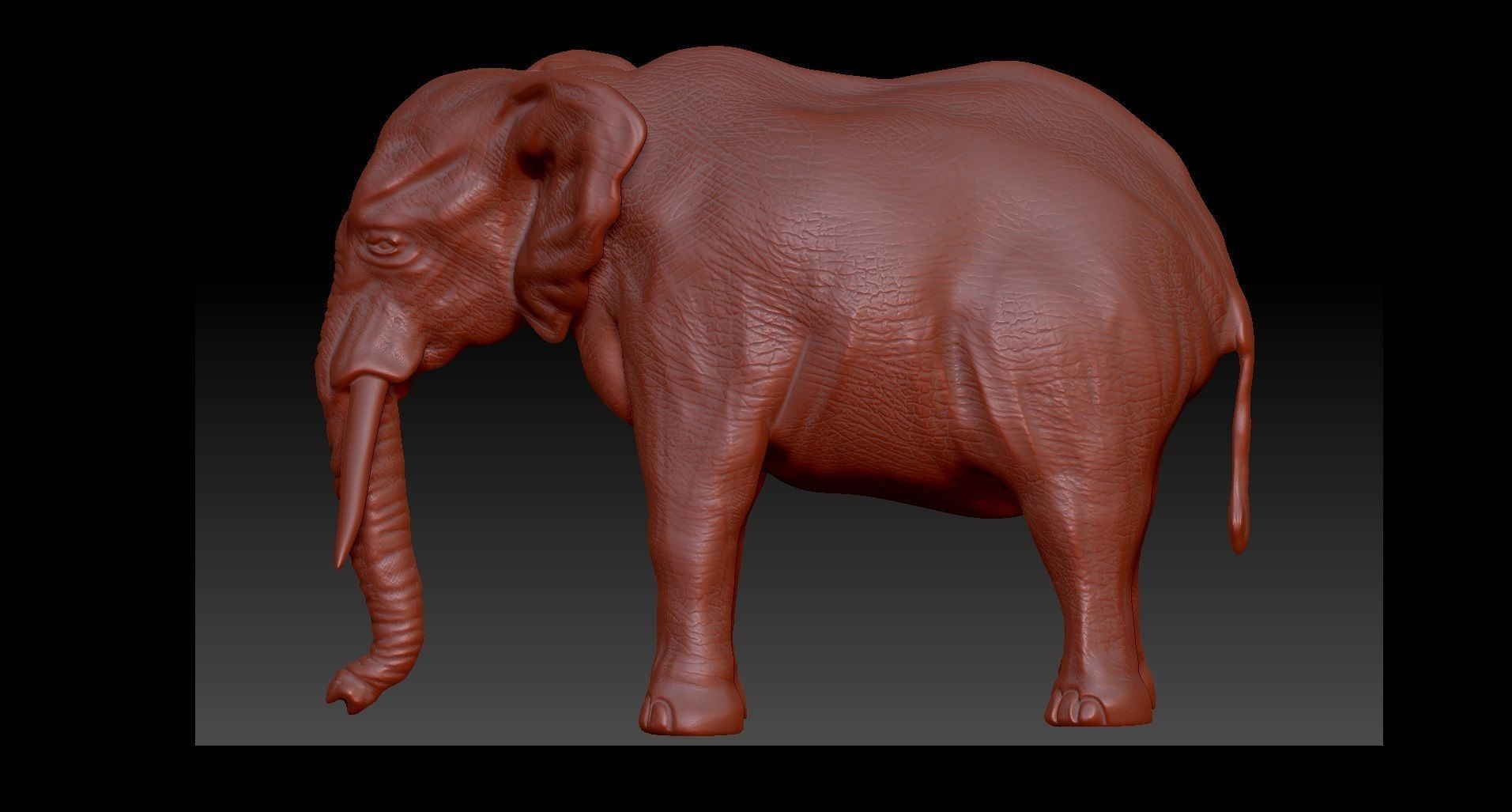 Elephant 3D Model for print 3D print model_5