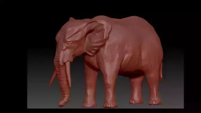 Elephant 3D Model for print 3D print model