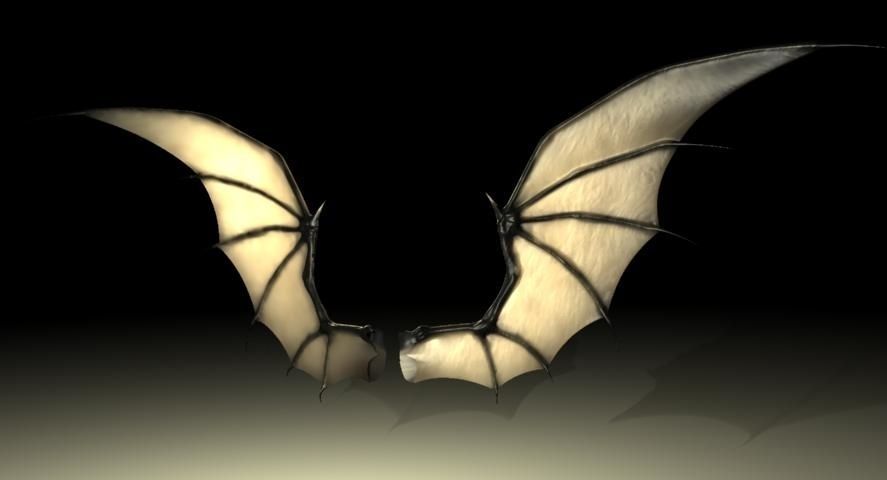 Bat Wing Rigged 3D model_4
