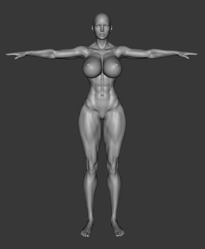 Female Template Busty Muscle Ripped Body 3d Model 3D model