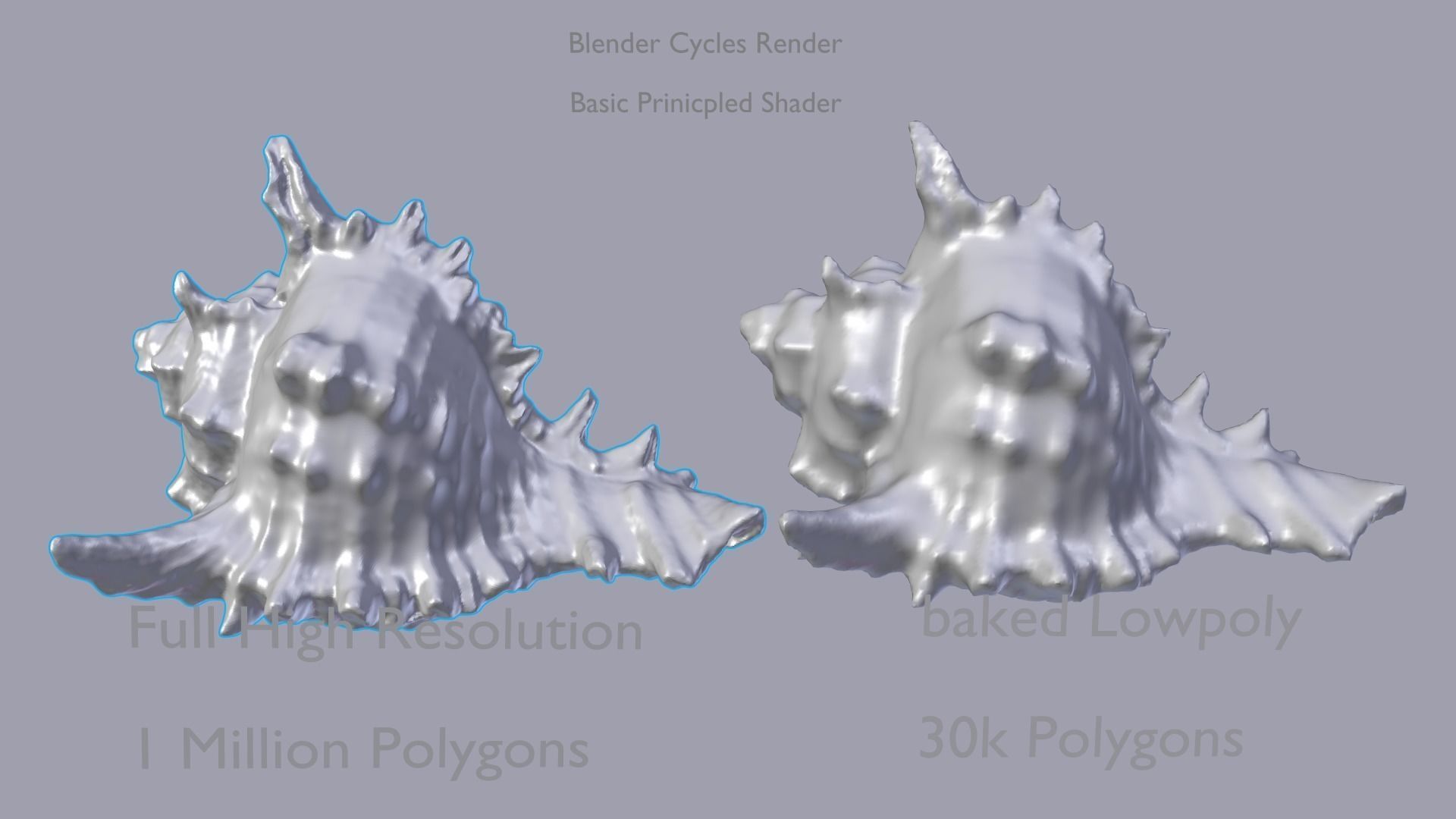 HQ Seashell 01 Scan Model Free 3D model_5