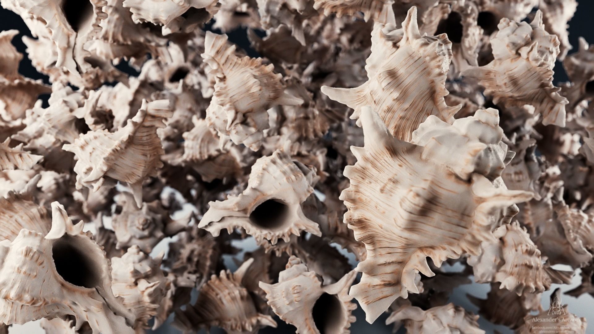 HQ Seashell 01 Scan Model Free 3D model_2