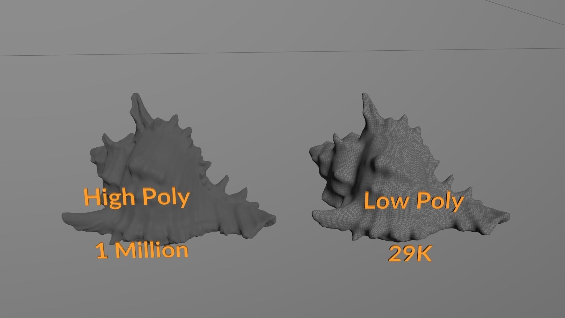 HQ Seashell 01 Scan Model Free 3D model_4