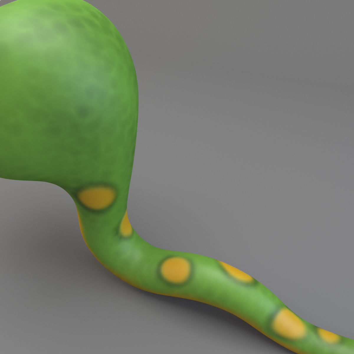 Cartoon Snake 3D model_5