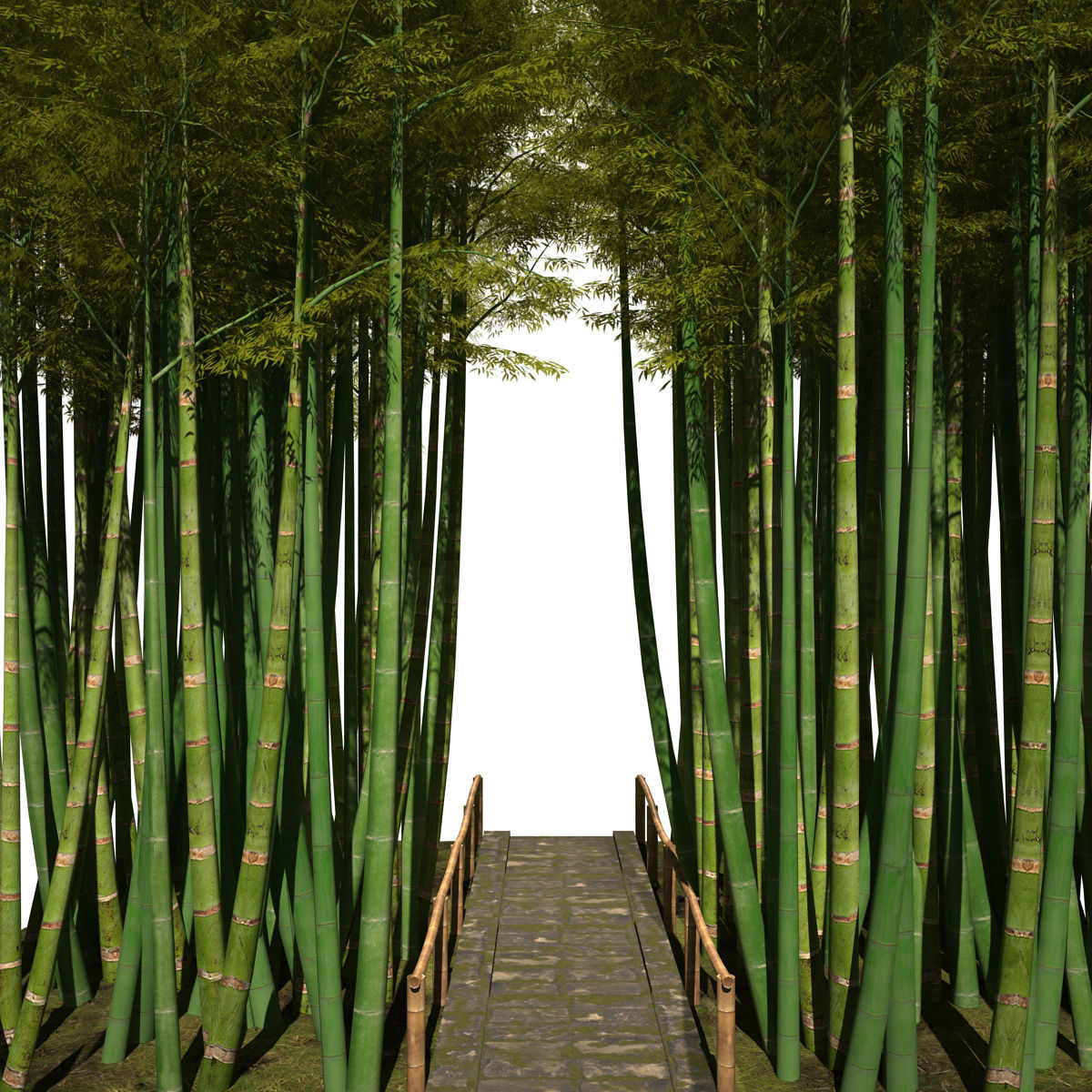 Bamboo corridor 3D model_9