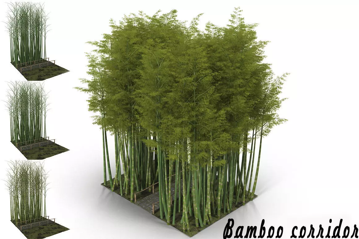 Bamboo corridor 3D model_0
