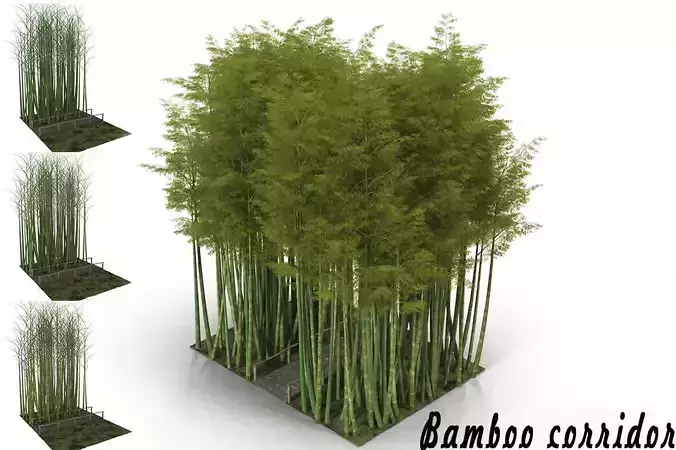 Bamboo corridor 3D model
