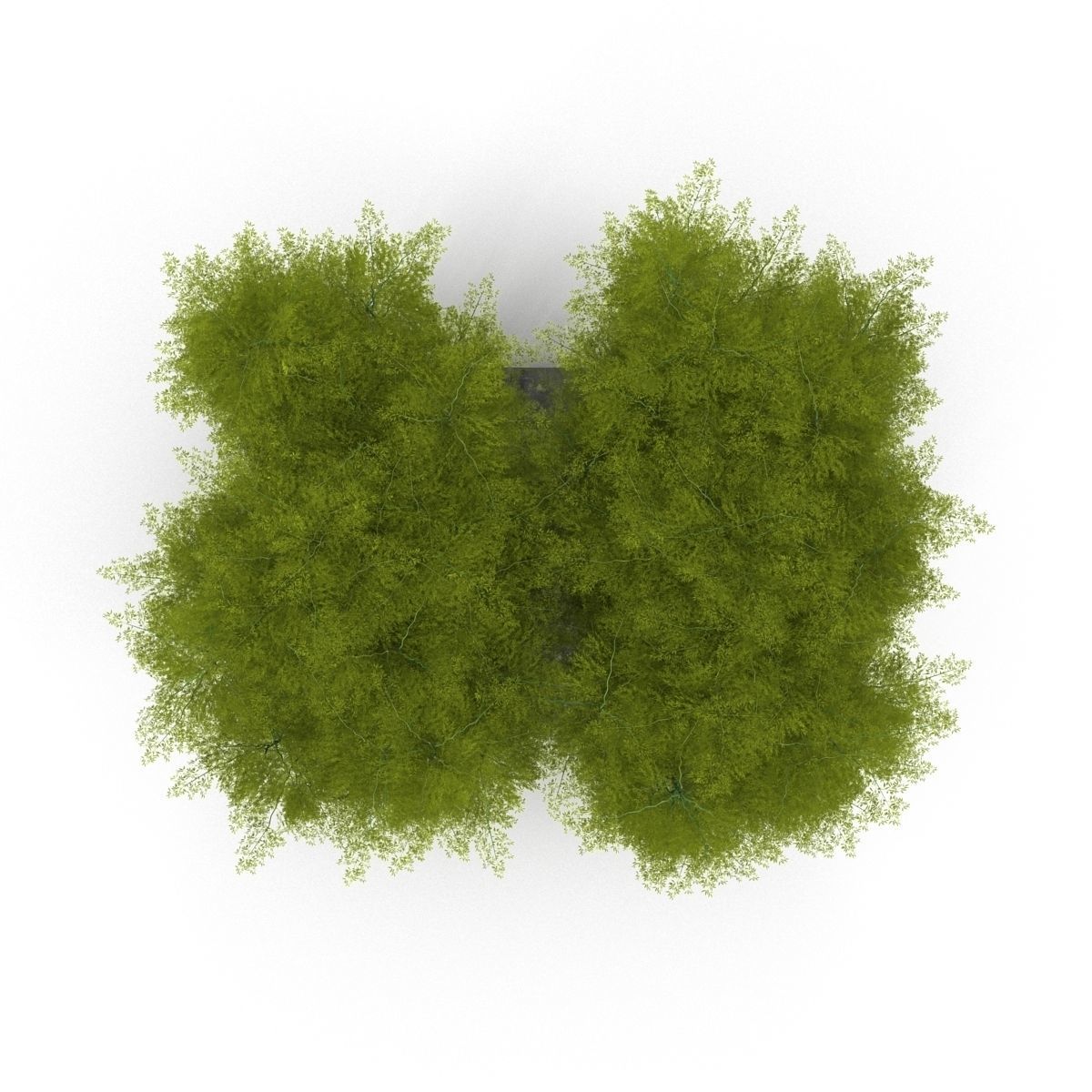 Bamboo corridor 3D model_3