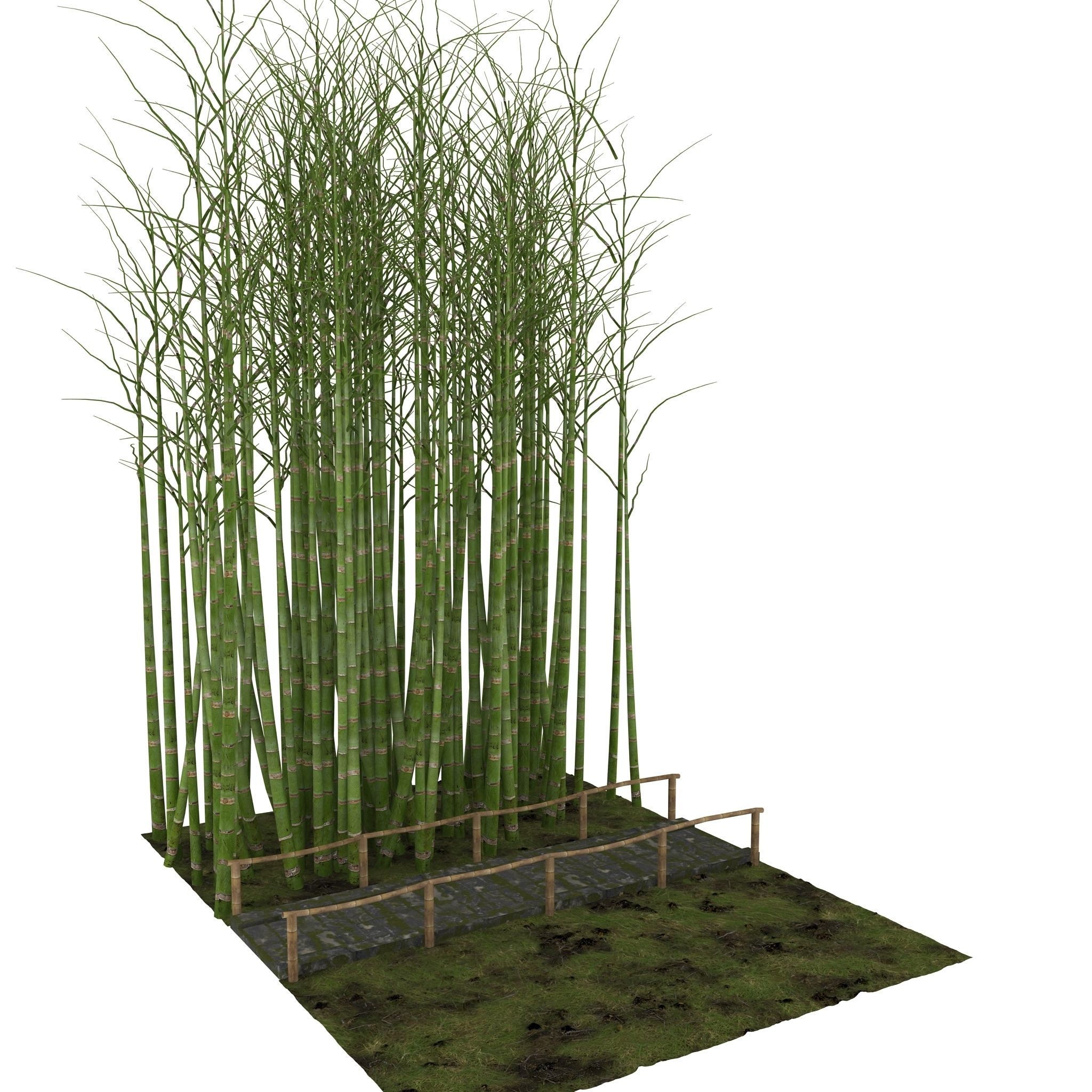 Bamboo corridor 3D model_10