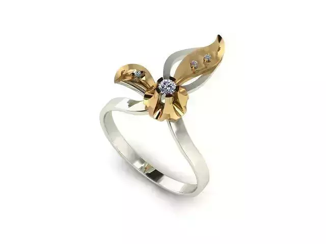 Ring R0579