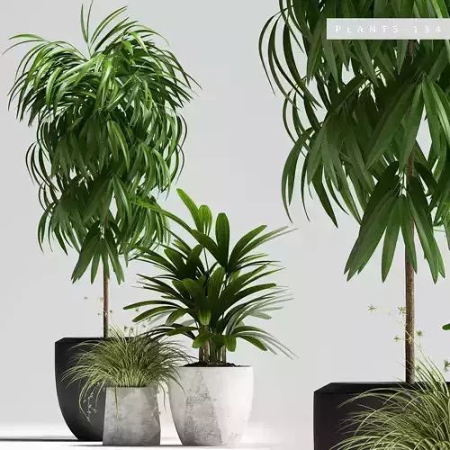 plants set 134 3D model