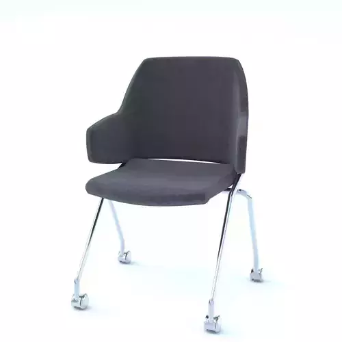 Meeting Chair