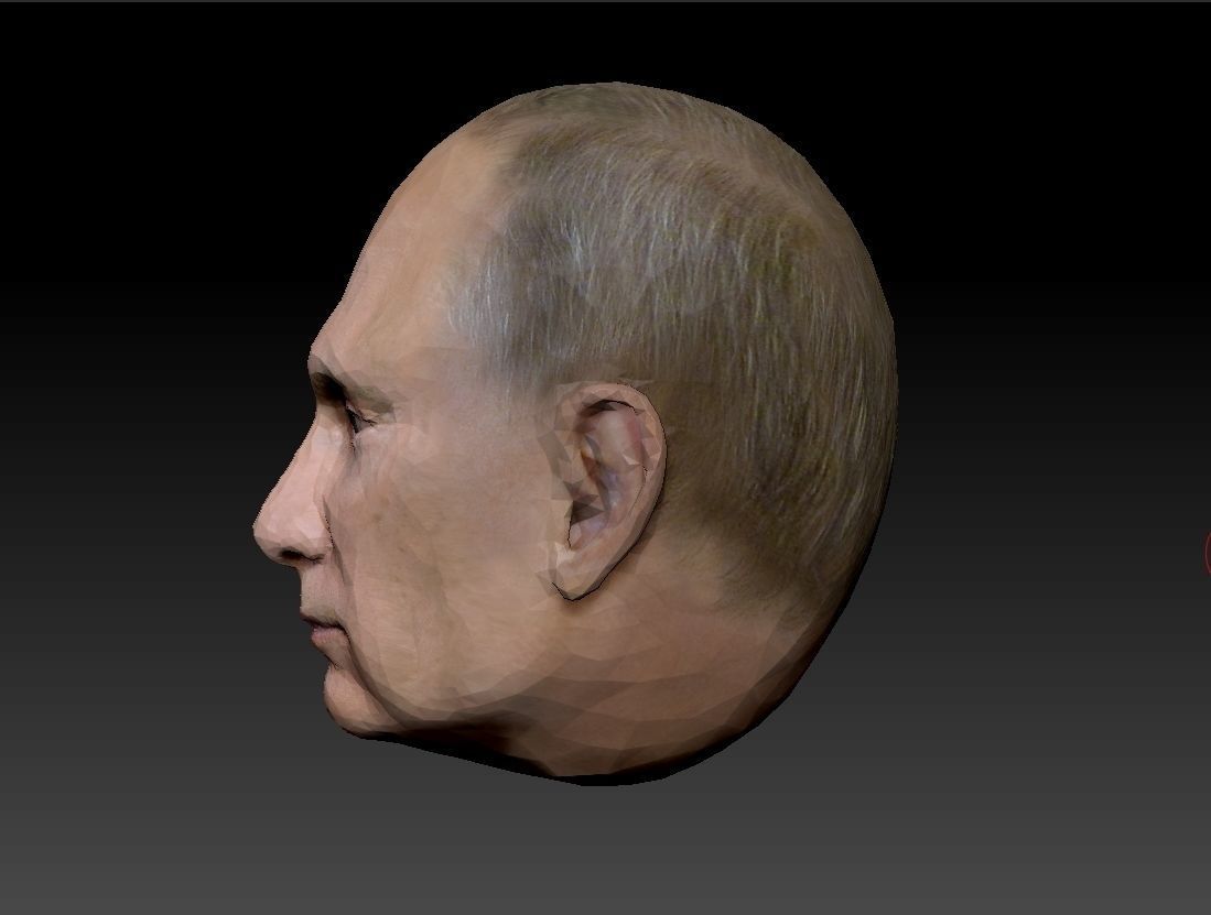 Hyperrealistic Putin 3D Head Low-poly 3D model_1