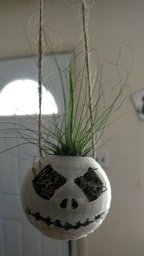 Jack Planter Free 3D print model