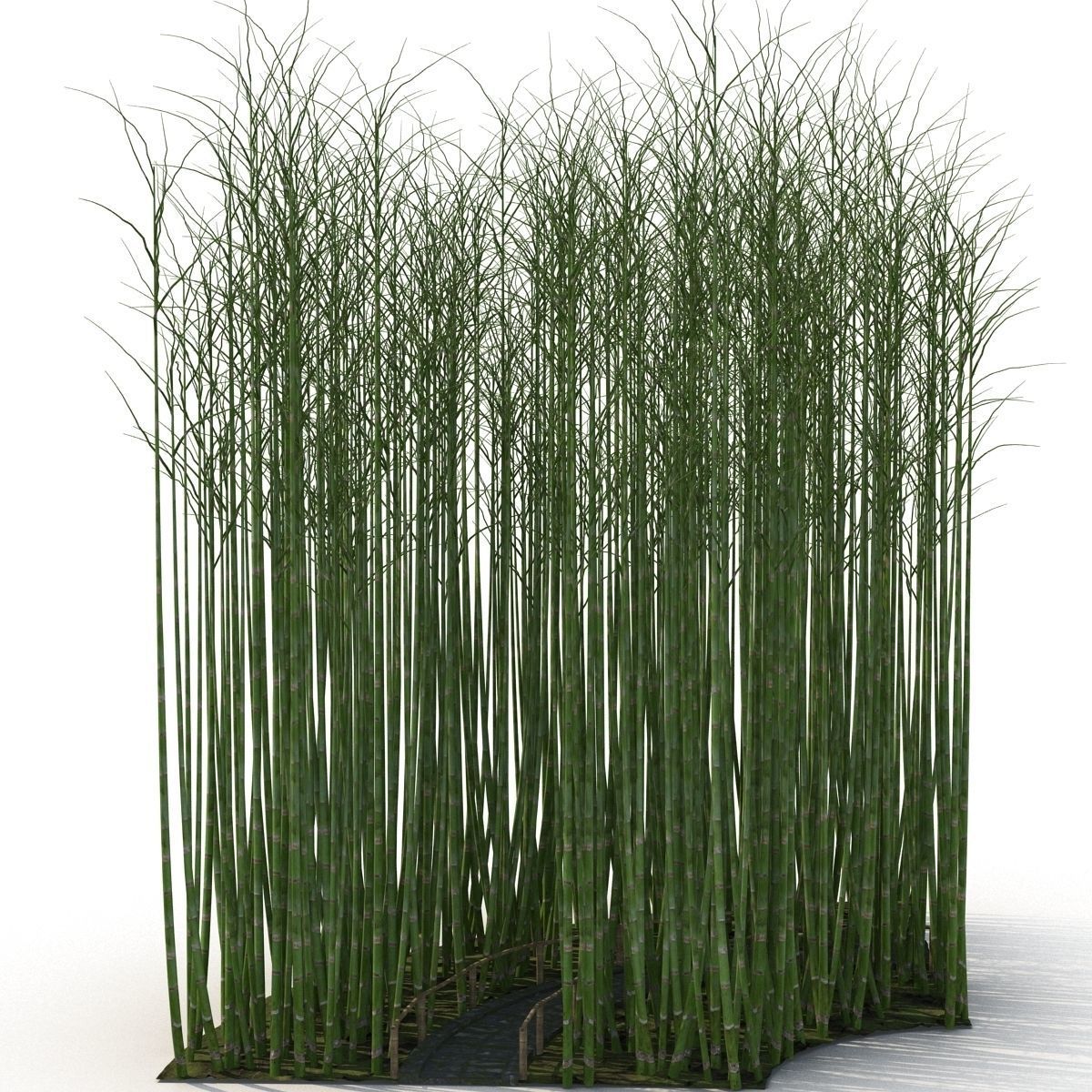 Bamboo corridor 1 3D model_5