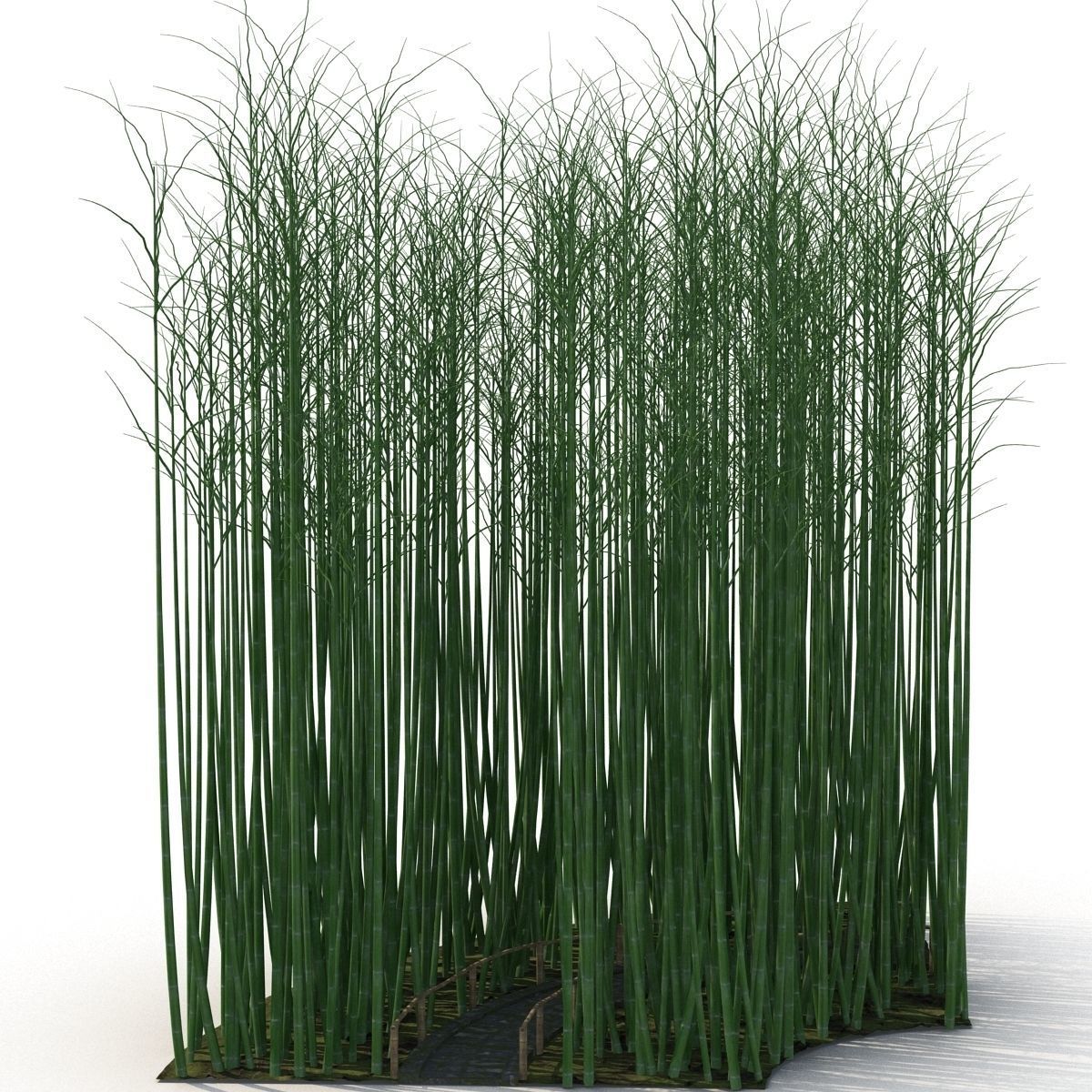 Bamboo corridor 1 3D model_8