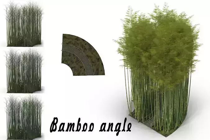 Bamboo corridor 1