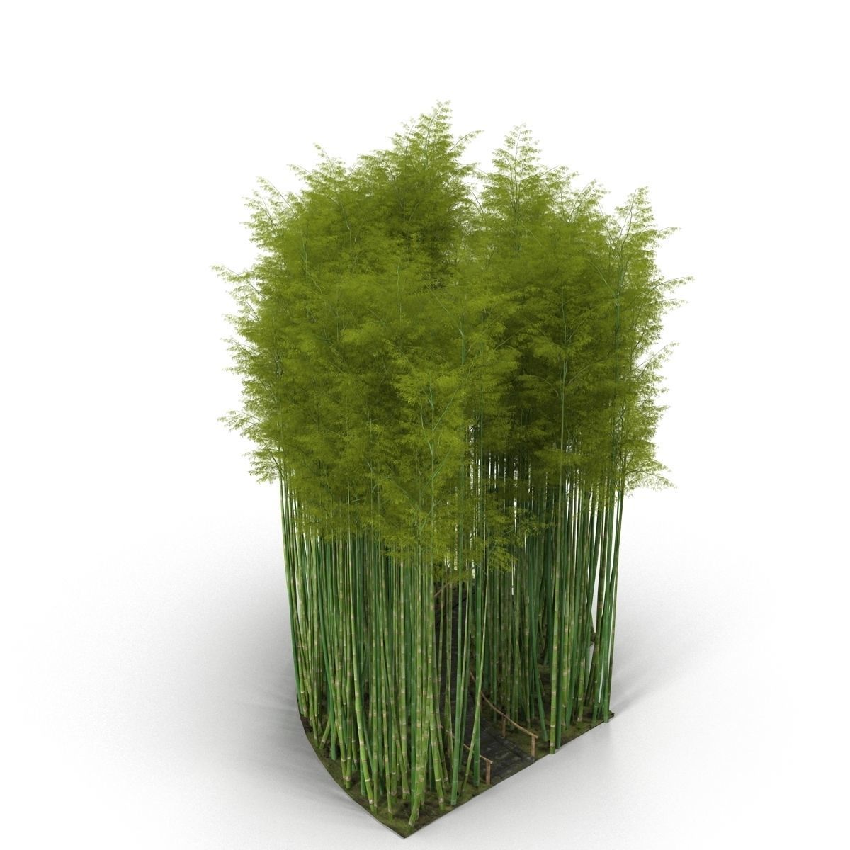 Bamboo corridor 1 3D model_6