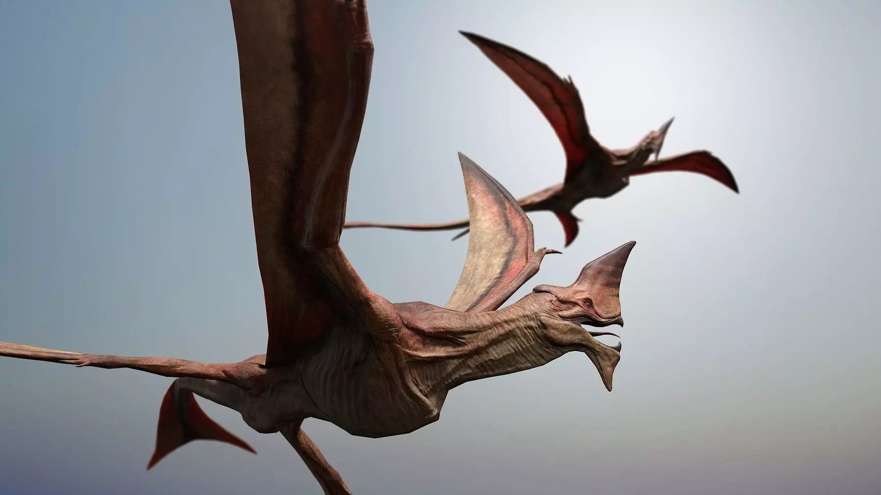 Flying creature Low-poly 3D model_0