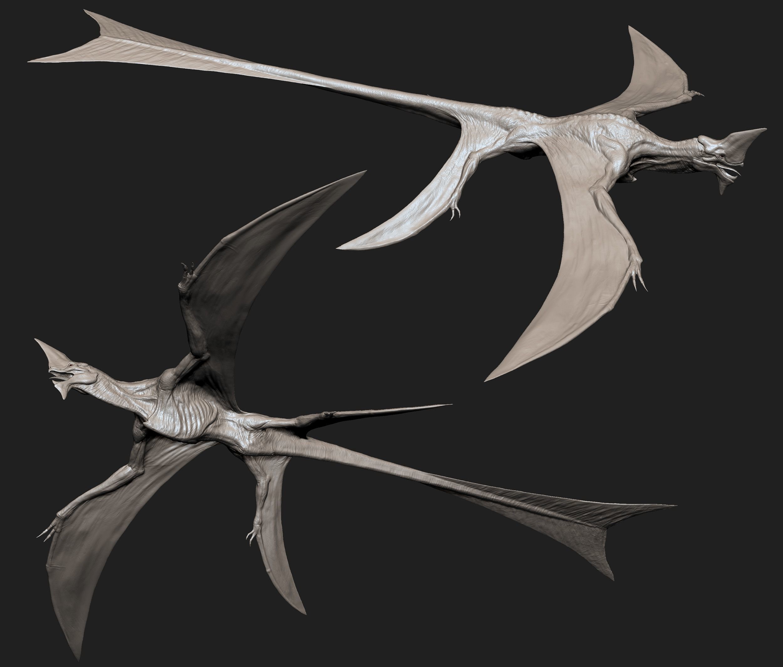 Flying creature Low-poly 3D model_2