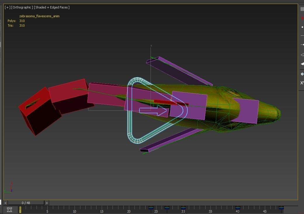 Fish Yellow tang Low-poly 3D model_7