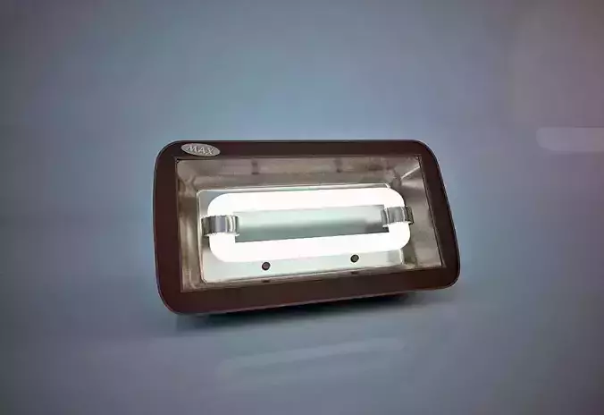 Halogen flood Light