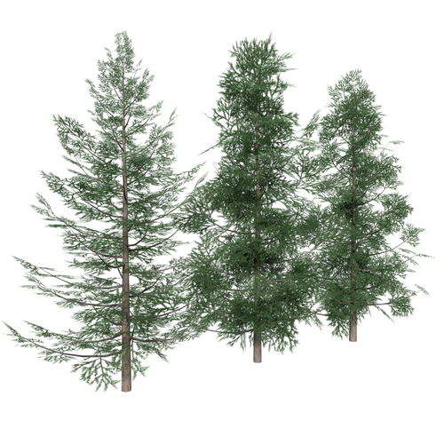 Forest Conifer Spruce Tree Low-poly 3D model