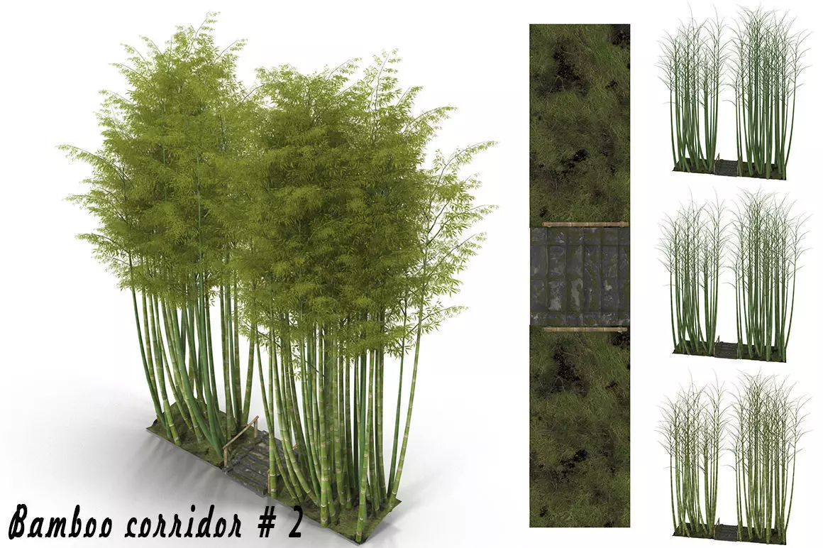 Bamboo corridor 2 3D model_0