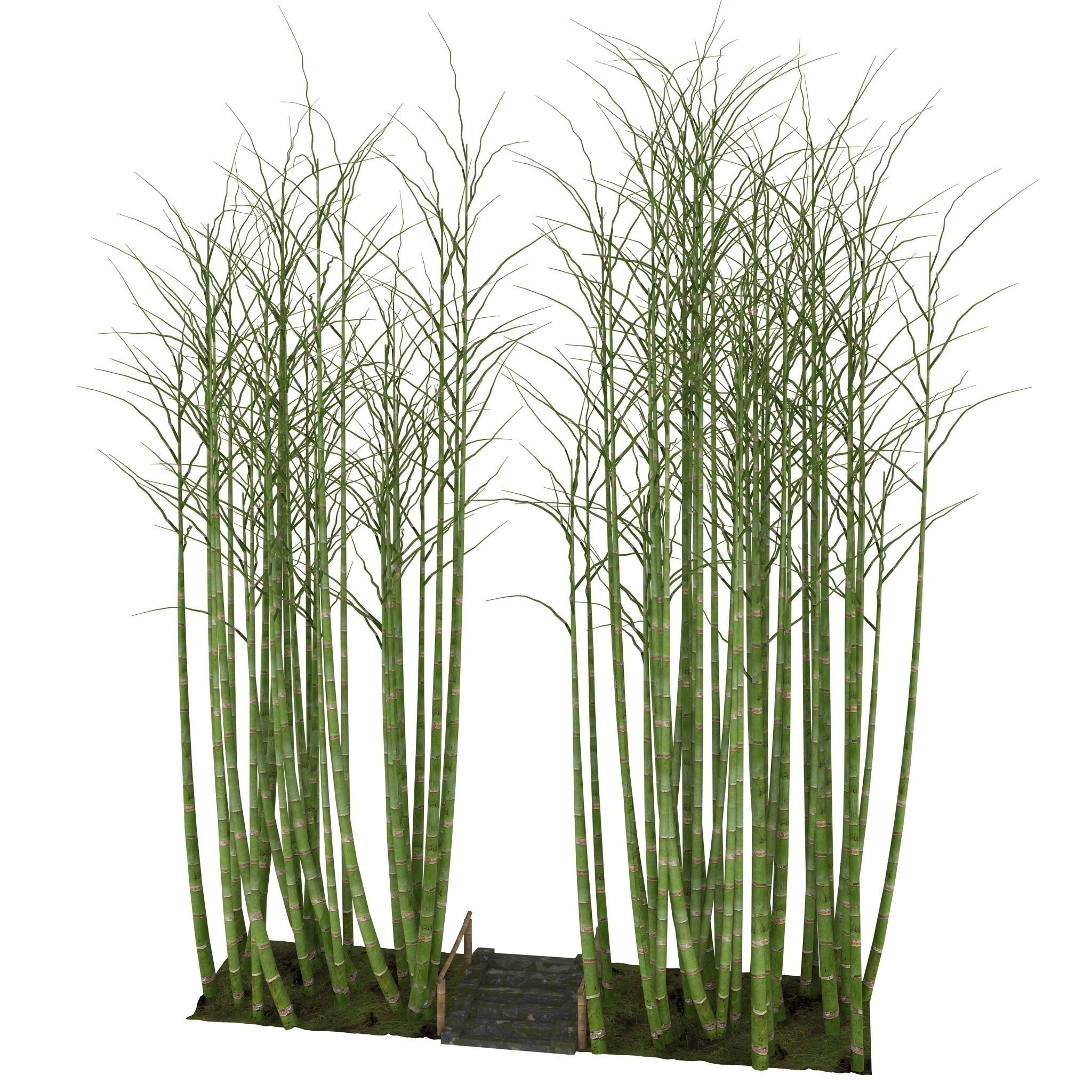 Bamboo corridor 2 3D model_9