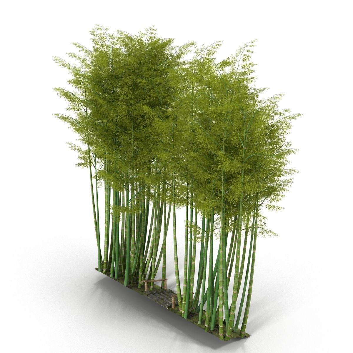 Bamboo corridor 2 3D model_1