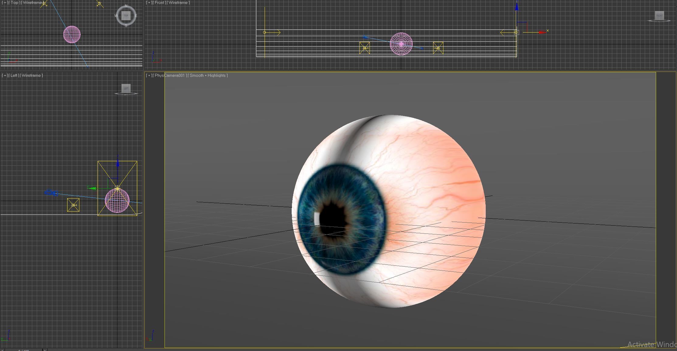 3D Model of a Human Eye 3D model_1
