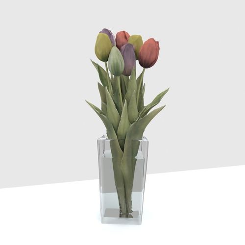 Tulips Pack