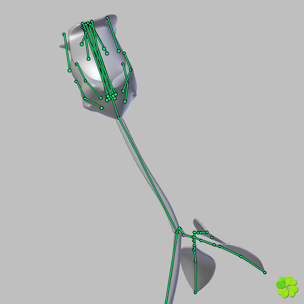 Rose multicolor rigged low poly Low-poly 3D model_64